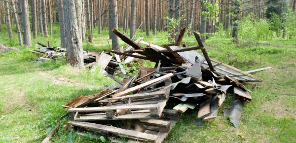 Debris Removal Service in Pompano Beach
